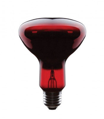 Asalite Infra Bec Rosu 100W E27 G95