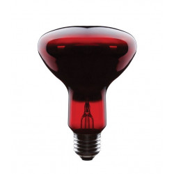 Asalite Infra Bec Rosu 100W E27 G95 Becuri Speciale 390354 Asalite