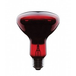 Asalite Infra Bec Rosu 100W E27 G95