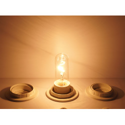 Asalite Bec pentru hota E14 40W 350 Lumen