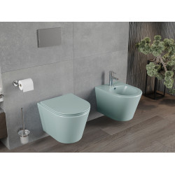 Mexen Rico wc Rimless  cu capac soft close  slim, duroplast,  verde   gri  mat - 30724048