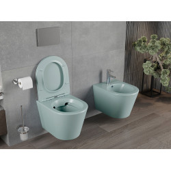 Mexen Rico wc Rimless  cu capac soft close  slim, duroplast,  verde   gri  mat - 30724048